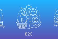 b2b2c
